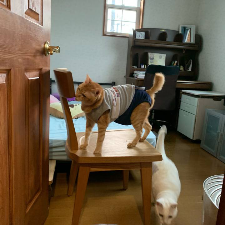 0f80bb29 6ee5 48a3 8d57 6e100ff3a435 1632260703392