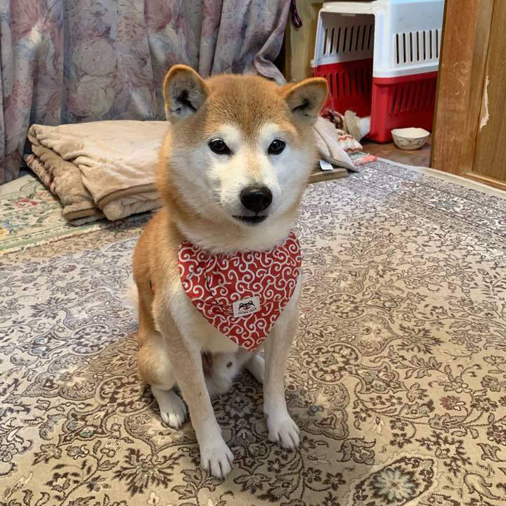 0f80e6f7 472a 4641 a78a 0dabfd3c295f 1644490676653