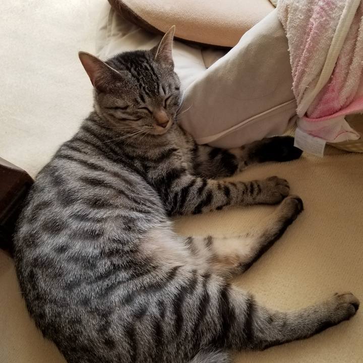 0f812a12 8dd2 4d34 962c 5adca2c8c6e2 1674836461989