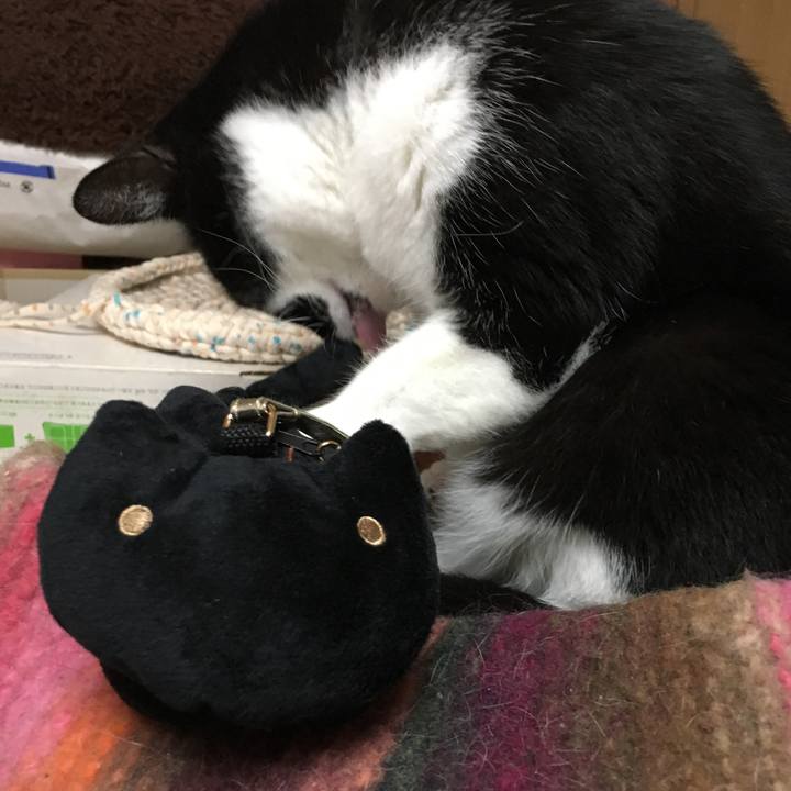 0f8132e0 5e20 4013 a72d 2eaeca507ed0 1508770000942