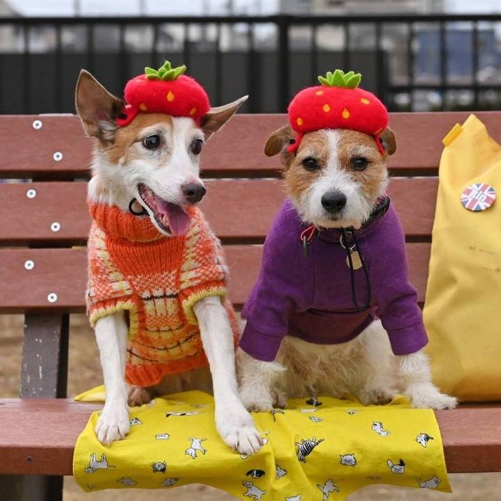 0f814a6a 954f 481e 87e6 120ef611a423 1673766831050