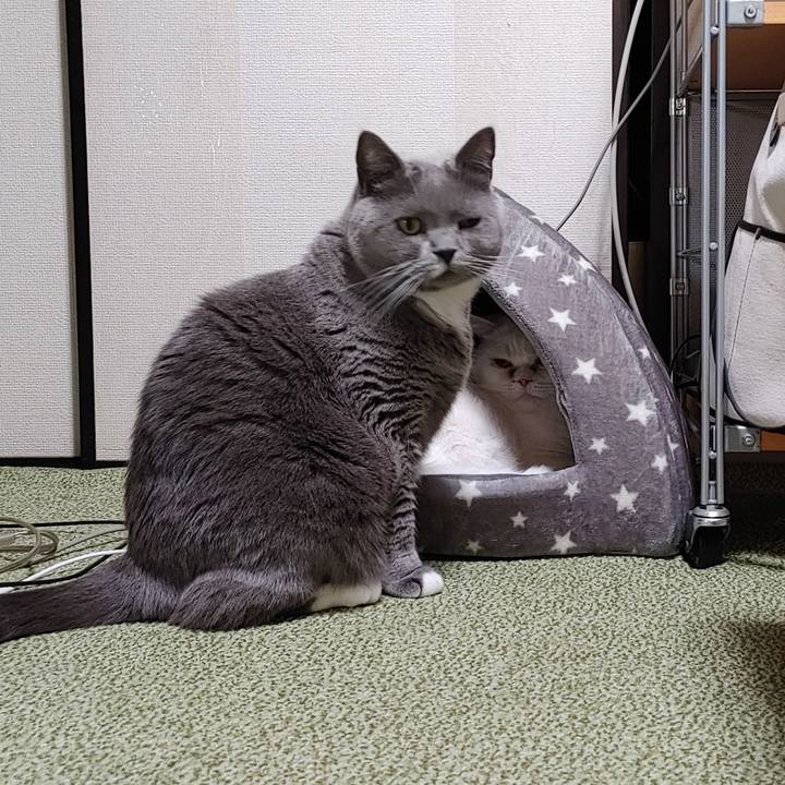 0f81576b 79ef 4246 a47b 200f0694aec8 1642340025619