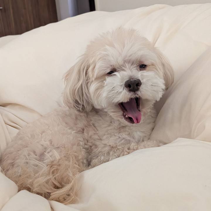 0f81a96f c4bd 4b56 ad64 8415310f4b5c 1773663813263