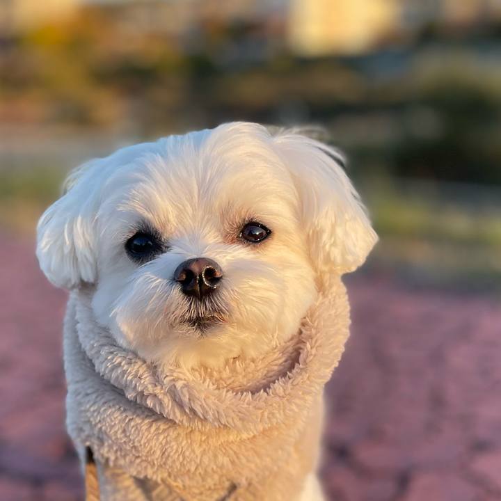 0f81babe 1ebf 4ed2 85bd 6550995ad545 1763810493937