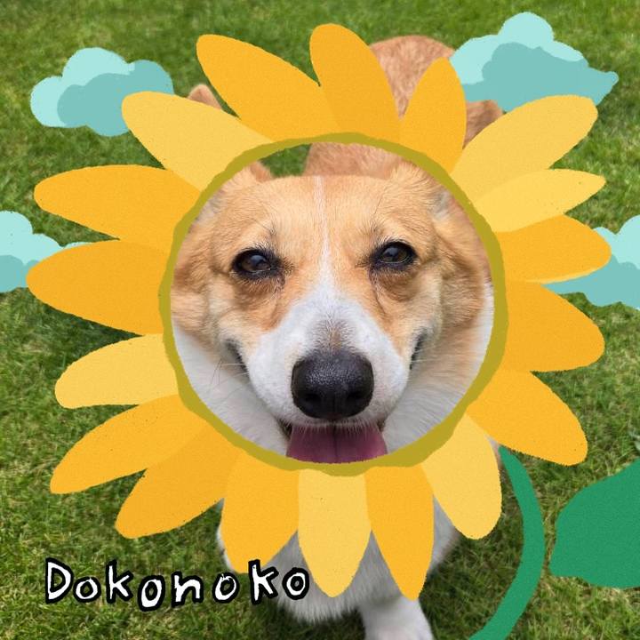 0f81d9ea 5096 44bd 987e 1b6e2f4293e7 1723632656776