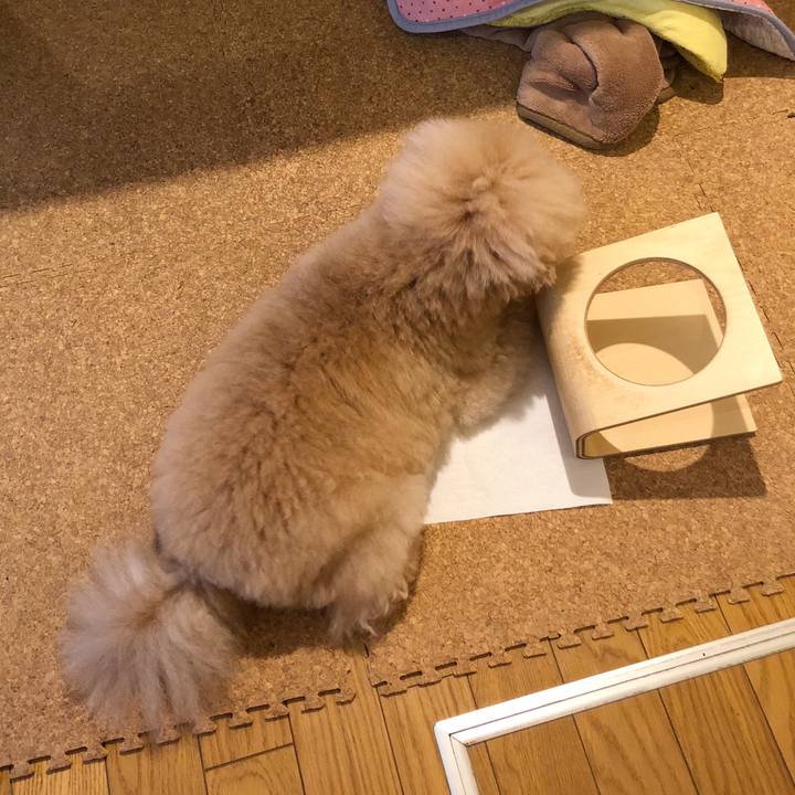 0f81e0fa 692d 4f64 a9cf 4f2fa9569ef9 1537146457039