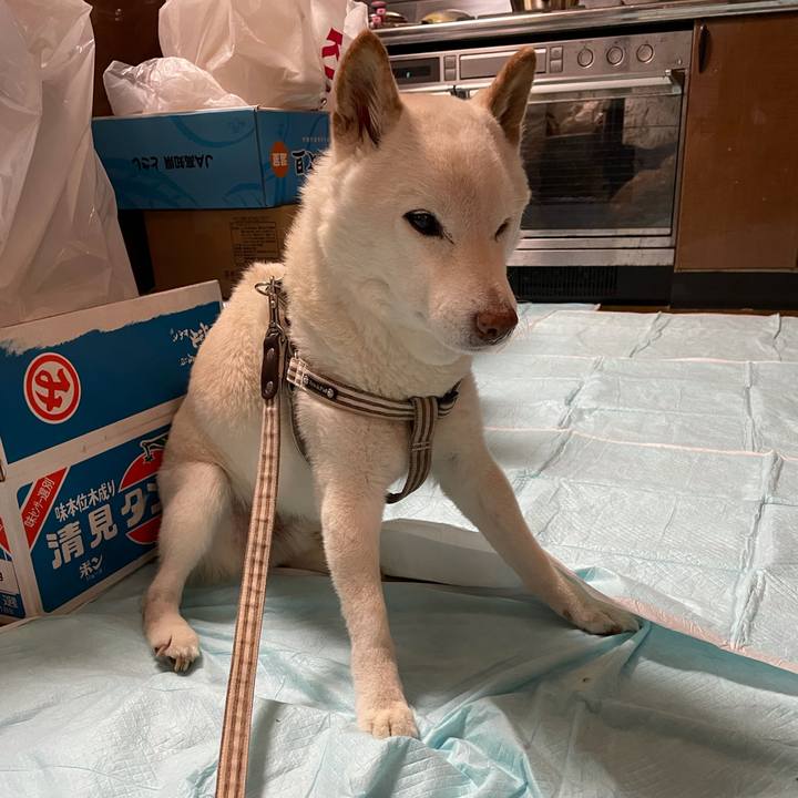 0f81f018 38b8 4546 8fa3 7d4052b4d351 1639390244480