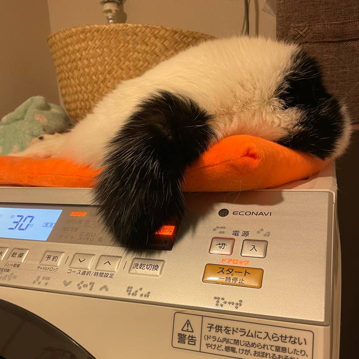 0f821458 8e54 462a a798 b051eae64b01 1732458776955