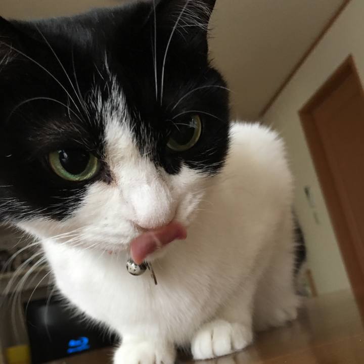 0f82454c 0ea2 49d0 a873 812840f4a9f2 1561334659526