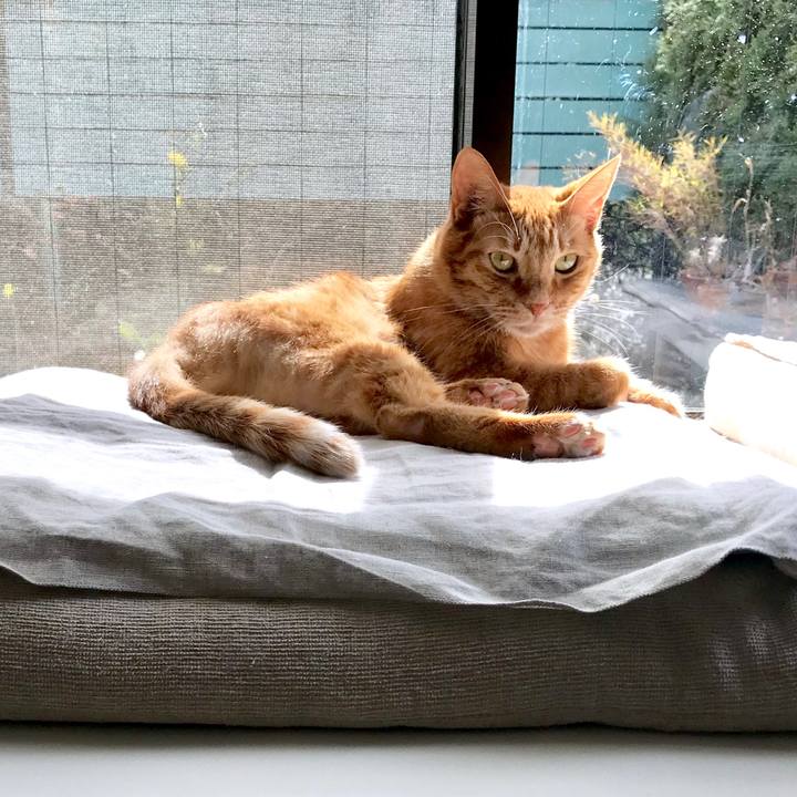 0f829d42 bea0 4b1d b932 b3cc35866d22 1549855008190