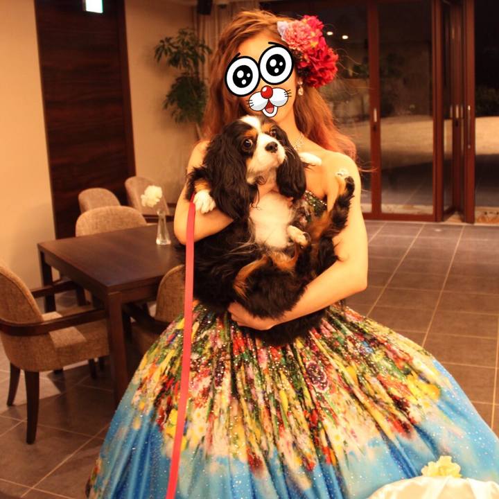 0f82f227 288a 4c89 9ad9 19cebcc20143 1519729964531