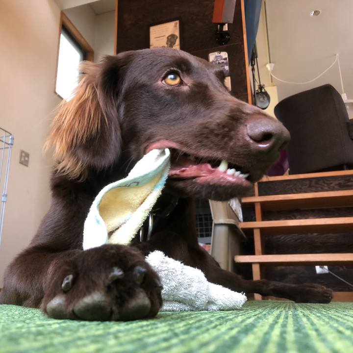 0f82fdce f096 4f7f 8915 1acb72cf9453 1581644714682