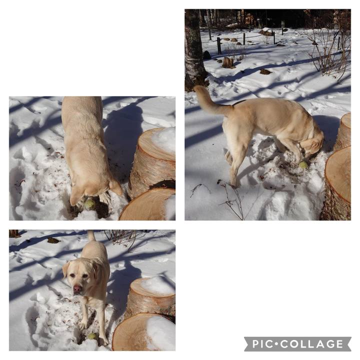 0f830b5a 92e5 4a5d 841e 0b3fde11baa1 1675563359647