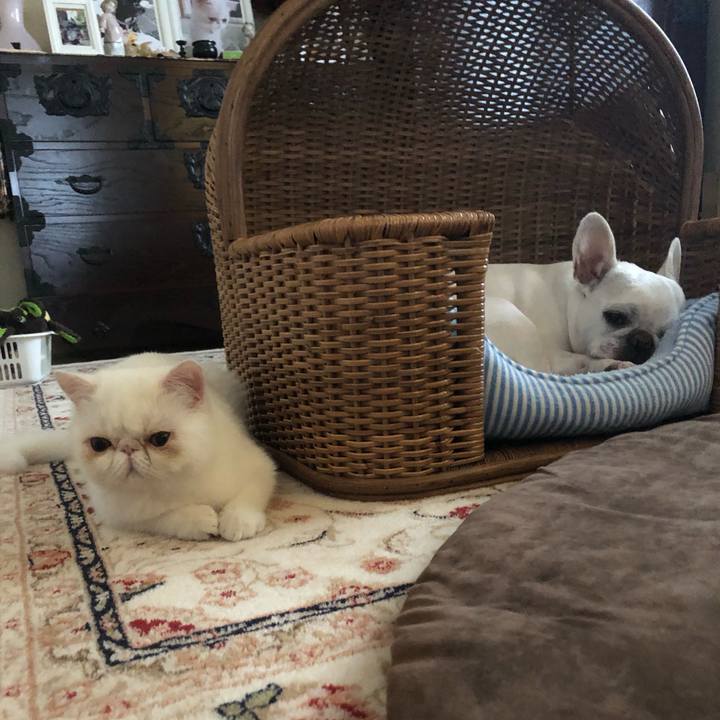 0f830ba1 55b1 4c90 a571 47d4084f3e81 1559977957293