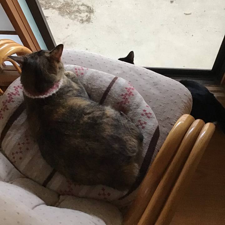 0f831fb3 76c3 4e76 acd5 be96083f199d 1659864501215