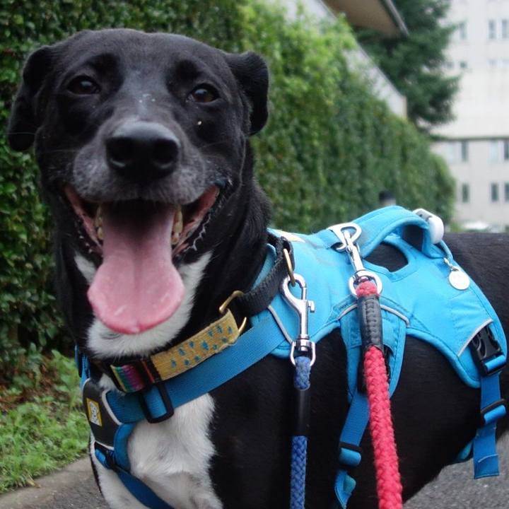 0f836c31 1878 4ba9 94a2 8fc880c39bb1 1625567362849