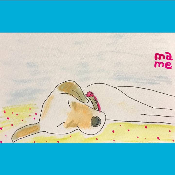 0f838d79 cc87 481e 8718 e51c7823af82 1539604401905