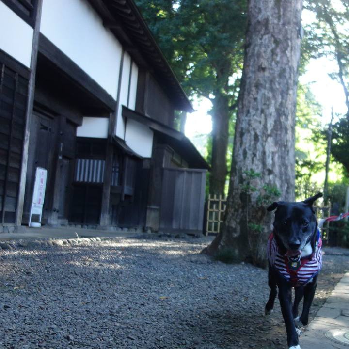 0f8390db 3258 4065 9b90 a77dc08ee81b 1689032471451