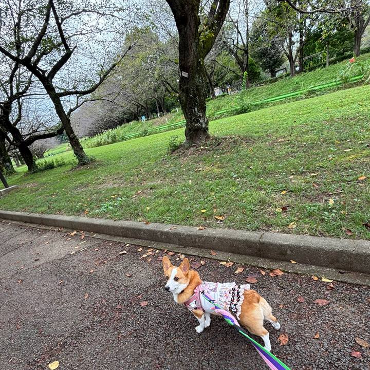 0f83d467 9f58 48aa b5f7 de31ddba3f51 1759642092705