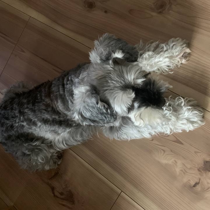 0f83efdb 33c0 45fb ba33 021704dbec46 1664499214310