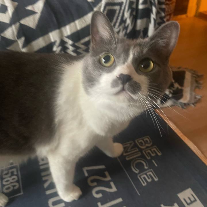 0f840d0d 53e1 4170 bae1 0bd769710ed4 1724894414920