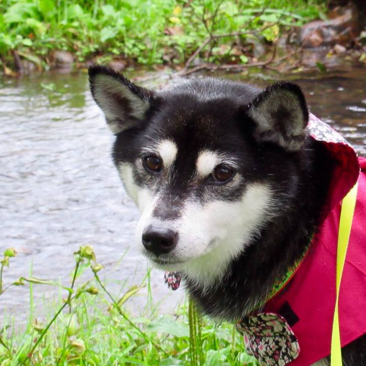 0f846182 bea4 4c63 9b0f 8759f1414ca8 1571707071230