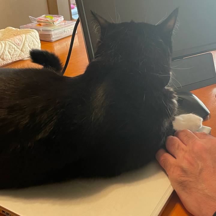 0f8467df f792 4dac 983e 85a82461a1ae 1733011528185