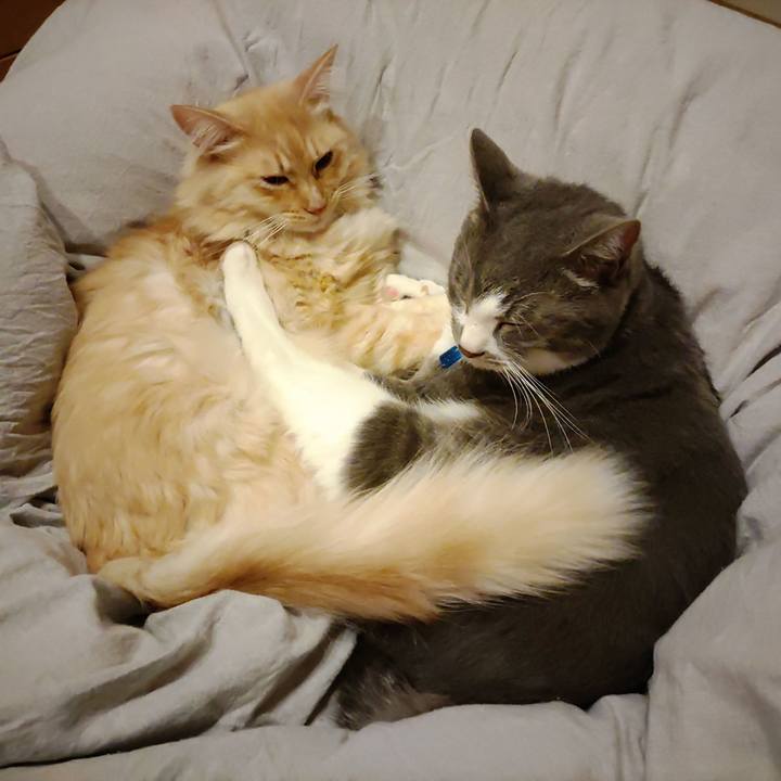 0f8476cf ff60 43d2 ac49 a59993464eeb 1666348731330