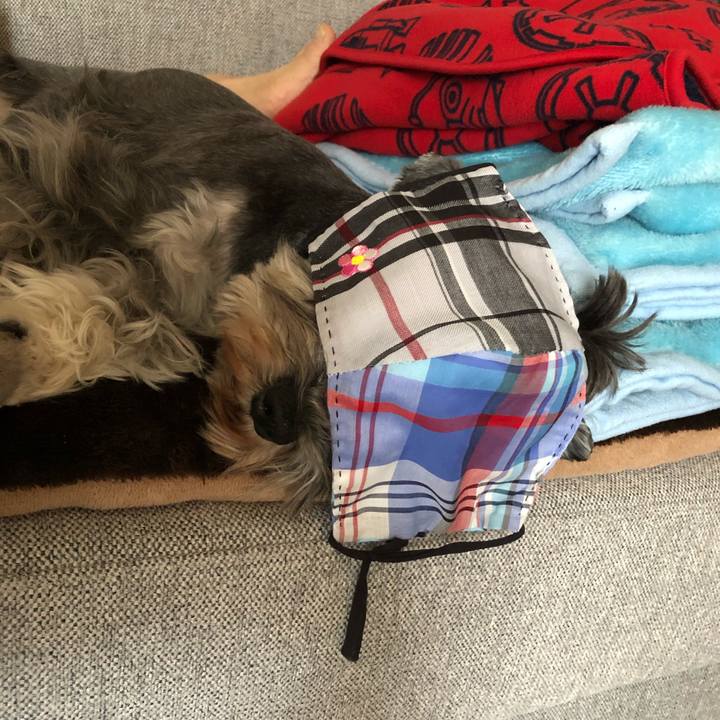 0f847bd5 831e 471a bf5e 2274d610b0c3 1588691015332