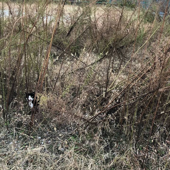 0f84d221 7b22 4a39 8cff 6497a4c7367f 1542789754186