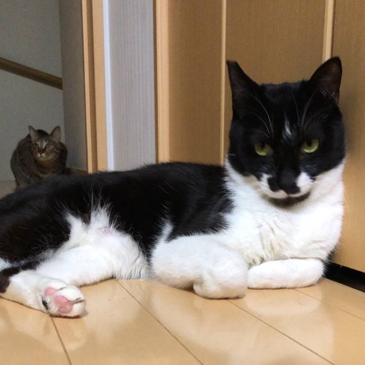 0f84f560 921b 460f b5d1 05c829678584 1555446159304