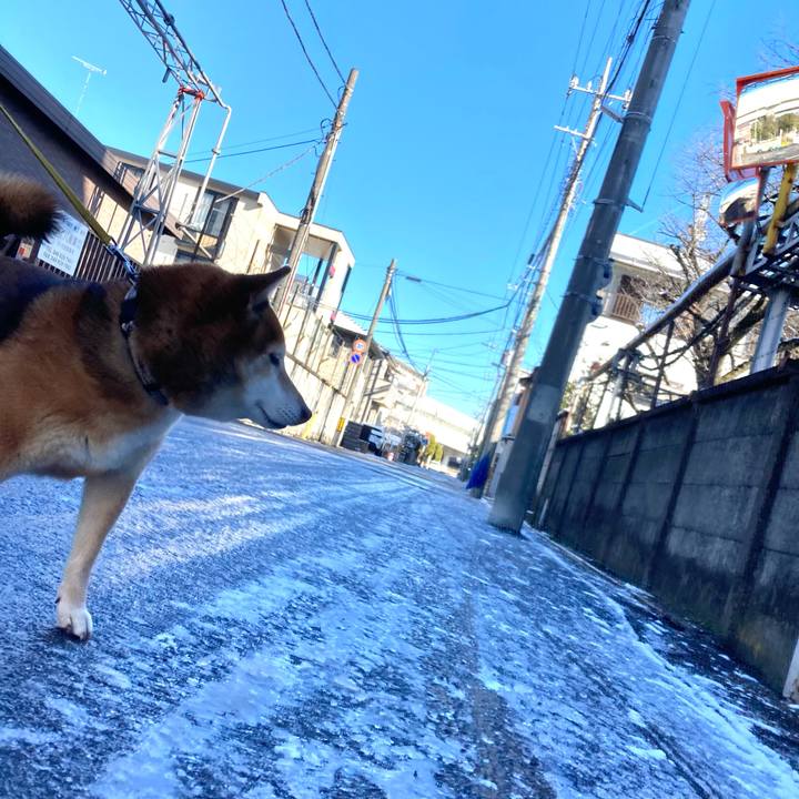 0f8525dd 166c 4a3a 83e9 71a694aee903 1641525128247