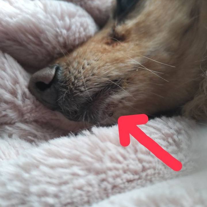 0f853b96 9b22 4561 8a71 56172ccbd515 1708572348695