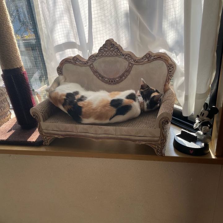 0f8558fa c760 42b4 b13a ad25d3ce4062 1676936728842