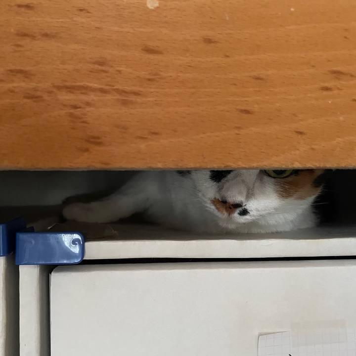 0f855d81 a83b 41b5 8290 513090726c72 1752314320196