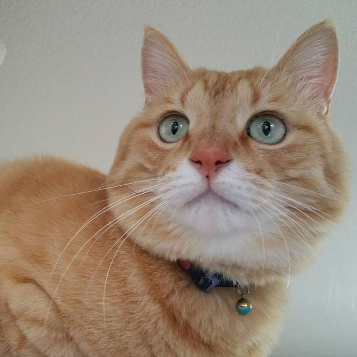 0f856a2d 6a42 4929 8476 836d0cfc3a41 1554712400887