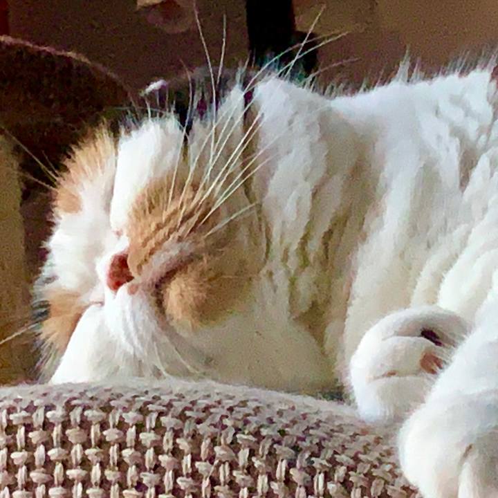 0f858fbf 8cfd 4b8b 9a37 0dbb7fcad6c6 1566637295802