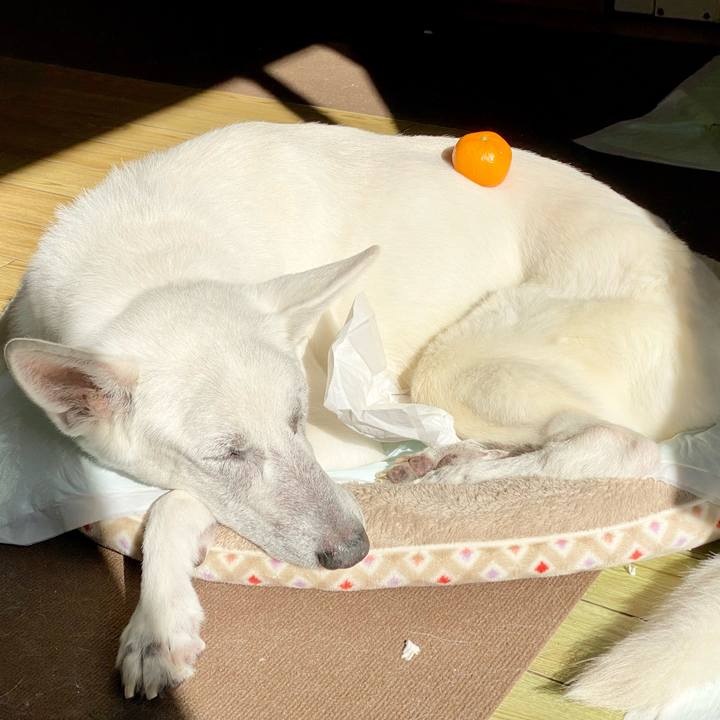 0f859aee 2b5f 4413 9e9e 4228863bd504 1672370879232