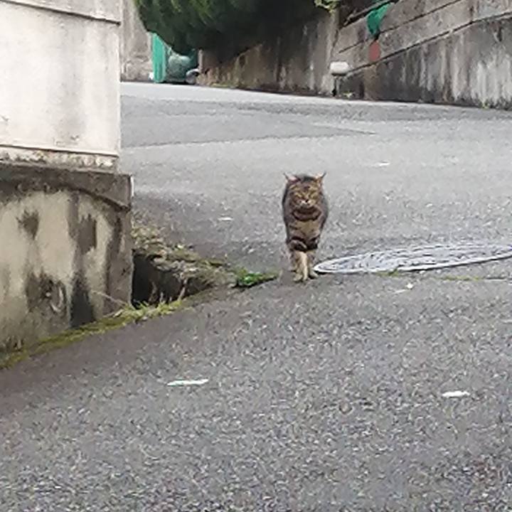 0f85a07b 6b62 4b2f a4a6 923816b2dd3e 1627246998885