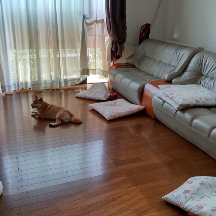 0f85cc21 d090 48da 847b 2e217fea16cb 1661813781426