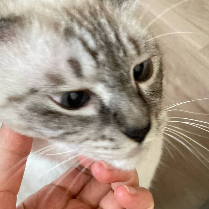 0f85d343 f398 458b a3c3 a33aa56636ef 1600297430159