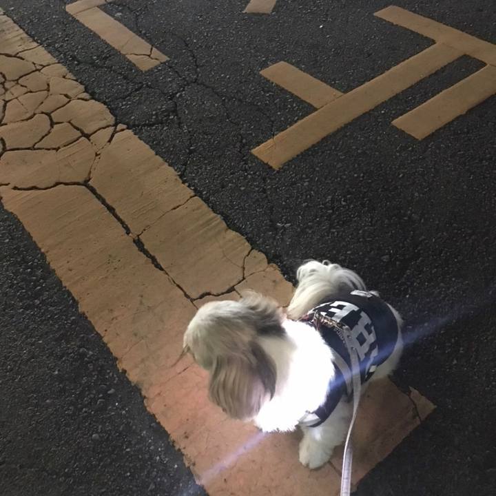 0f85f861 5ca8 4e2e a043 c72dadfcd89b 1669081880540