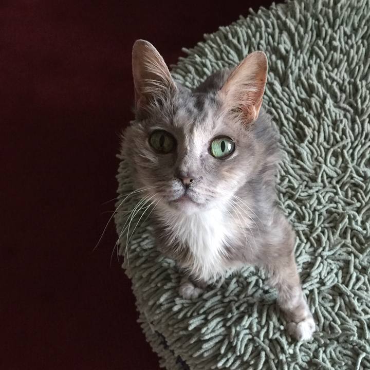 0f863e4d ae7e 4478 84f5 ca761e6a96ba 1516517492455