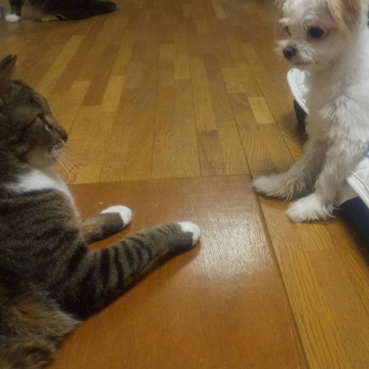 0f867569 6255 48a3 8862 a75405ca5dbd 1695788388810