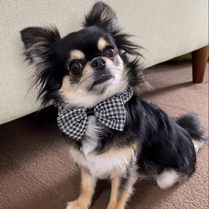 0f86a186 4c7a 4cfe 821a 224d4b755958 1629695452154