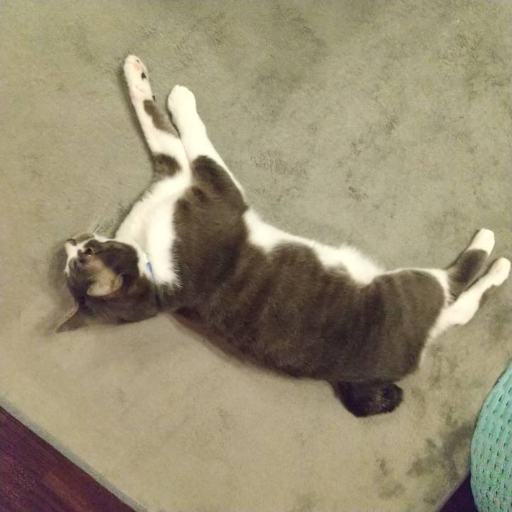 0f86aebc d0db 4b57 9631 7a75ebfa11d5 1618311933859