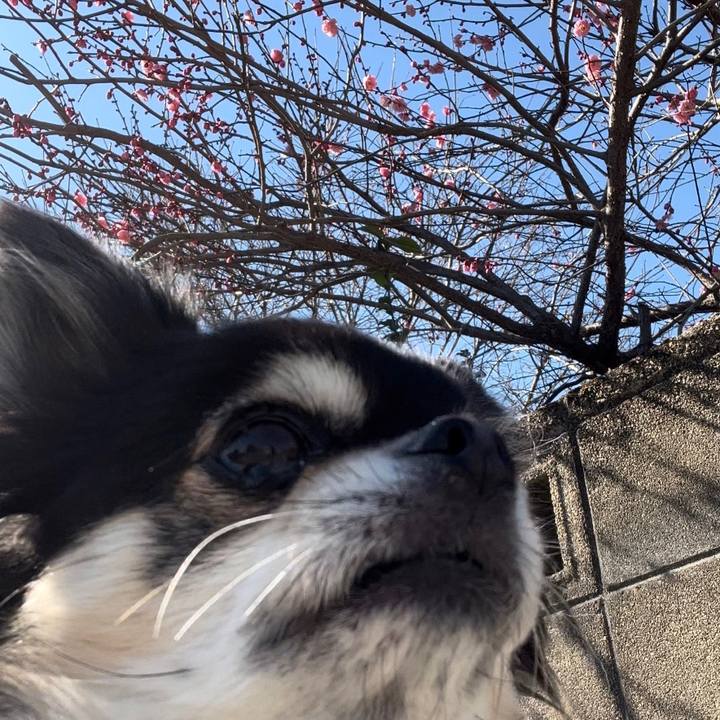 0f86c914 28dc 4482 92aa 102528269ae4 1678066325390