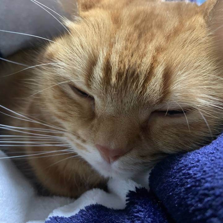 0f86d7da aa1b 4af4 8bb7 3c80f6546f3e 1642236222064