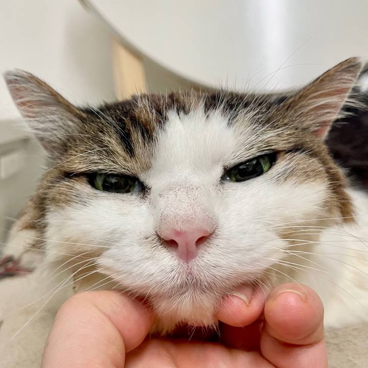 0f86de41 511f 4360 9b09 0436862d1ab2 1727365784881