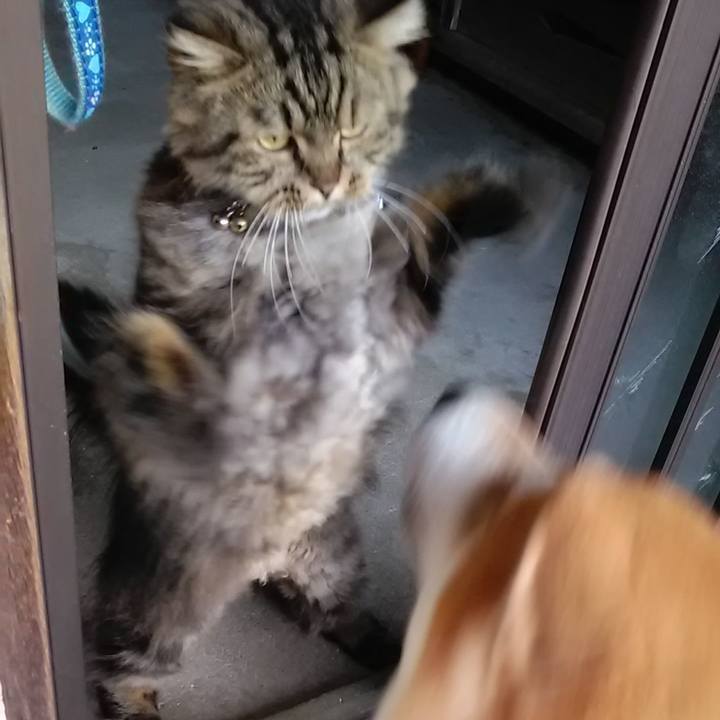 0f87040b 0660 4aae 8a5e 255a926f91dc 1633590309530